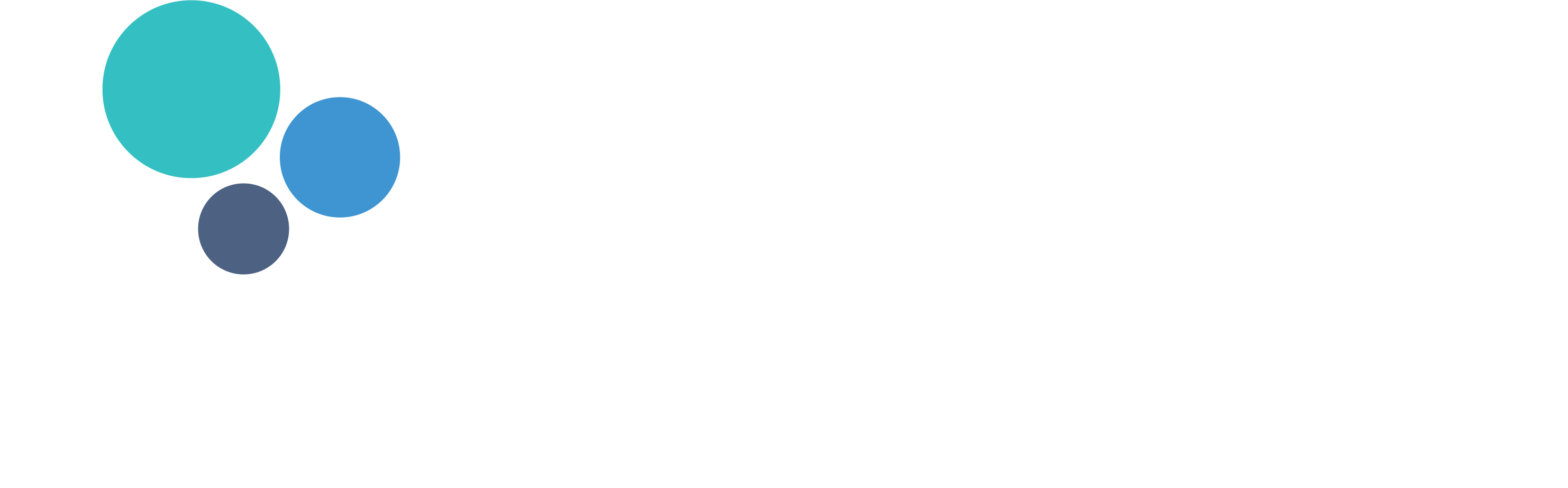 services-rise-global-services